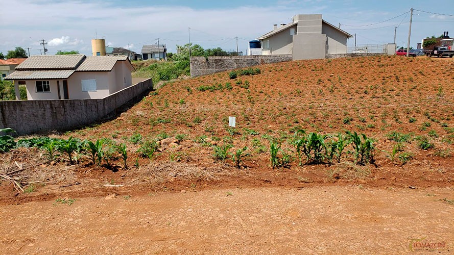 Terrenos para venda em Caiçara/RS